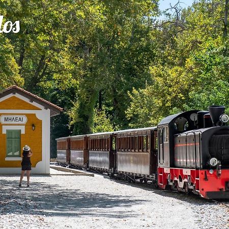 شقة Στούντιο Στο Κέντρο Της Πόλης. فولوس المظهر الخارجي الصورة